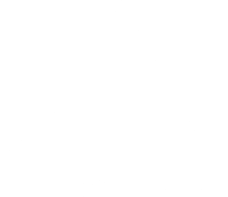 PINNACLE SA white logo LARGE transparent